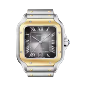 Santos de Cartier L Ref. W2SA0030